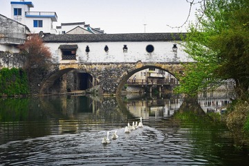IMGP6830.jpg