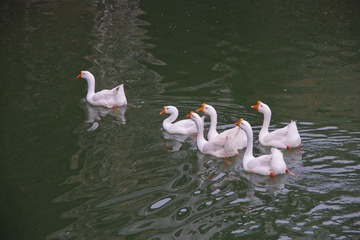 IMGP6834.jpg