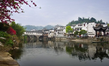 IMGP6838.jpg