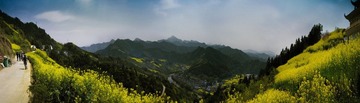 全景图2.jpg