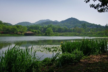 IMGP7352.jpg