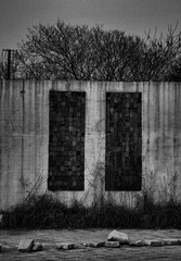 DSC09833_bw