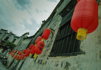 IMGP9795_resize
