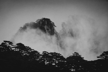 DSC03597_bw