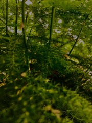 A635F5EA-DF31-4035-BB35-F03F4F55207F/L0/001