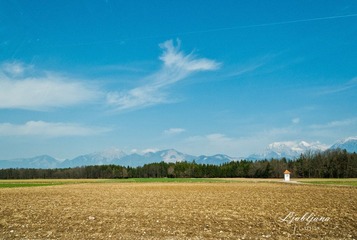 _DSC2277.jpg