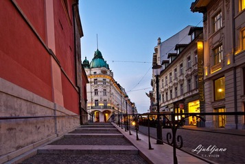 _DSC2380.jpg