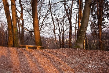_DSC2546.jpg