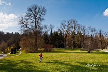 _DSC2807.jpg