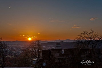_DSC3114.jpg