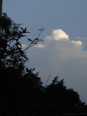 503BE23D-27DC-4D80-B141-A4EEFC58CB67/L0/001