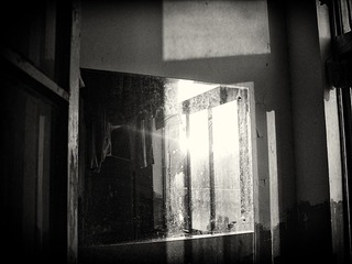 S8309266.jpg
