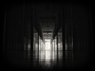 S8309272.jpg