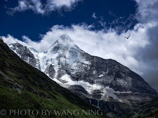 A0007071