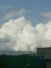 2717796