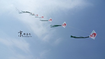 SDC12805.jpg