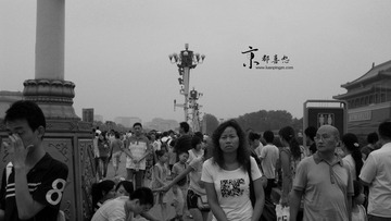 SDC12829.jpg