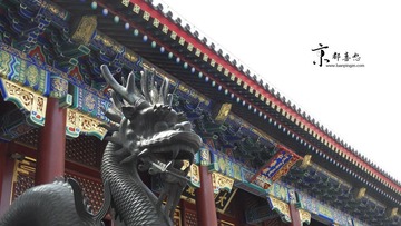 SDC13149.jpg