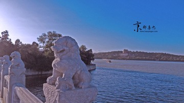 SDC13239.jpg