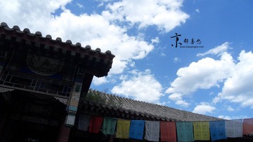 SDC13396.jpg