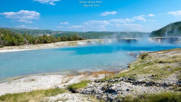 DSC_6015-1.jpg