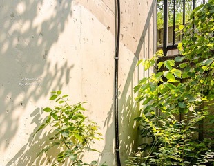 DSC_6779-1.jpg