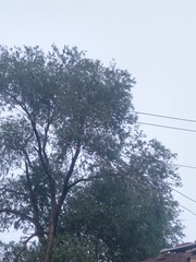 318202