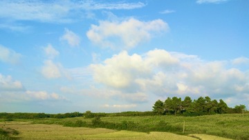 54E7A80D-9BF8-4519-AD39-7360A196148D/L0/001