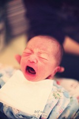 IMG_6352.JPG_effected.jpg