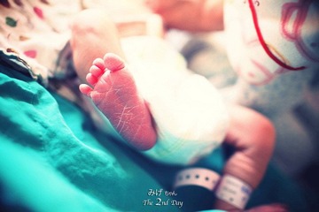 IMG_6386.JPG_effected.jpg