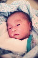 IMG_6398.JPG_effected.jpg