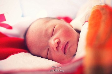 IMG_6548.JPG_effected.jpg