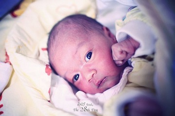 IMG_6769.JPG_effected.jpg