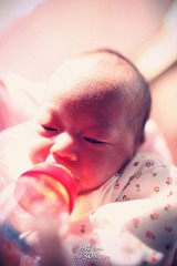 IMG_6799.JPG_effected.jpg