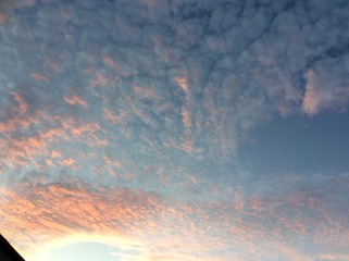 9B094C13-0C75-4B74-8D1B-4317979595C7/L0/001