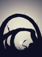 001