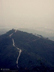 5164164.jpg