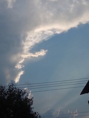 1293148