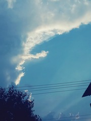 1293148