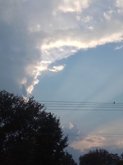 1293149
