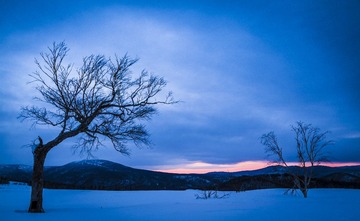 _MG_0468.jpg