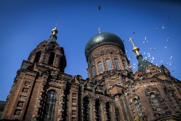_MG_0134.jpg