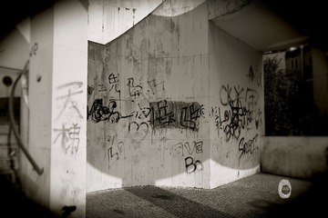 IMG_8494 