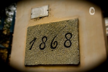 IMG_8543 