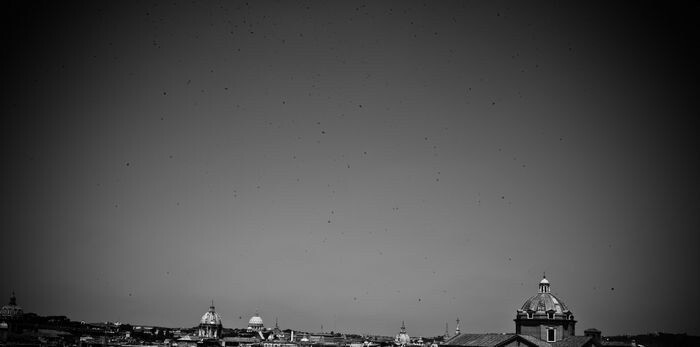 L1002265<br />
