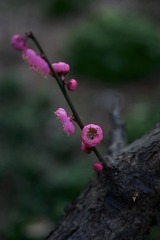 736CF131-F68C-4DD5-9D0C-1B058880AD2B/L0/001