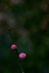 A2FB0FBC-FBD5-4325-83B6-4F4FF96A3B98/L0/001