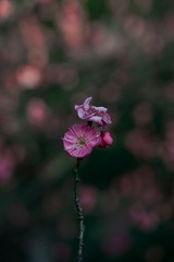 1F903844-5742-4CF3-BFD6-4AFEC73B2EAF/L0/001