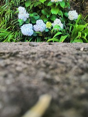 84
