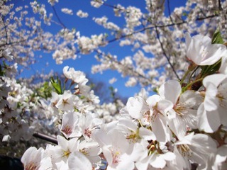 DSC01113.jpg